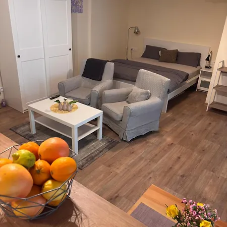Tiche V Centre Mesta Апартаменти